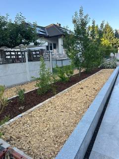 WhatsApp Image 2025-11-13 at 21.25.05