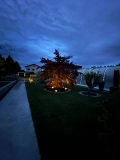 WhatsApp Image 2025-11-13 at 21.38.06 (1)